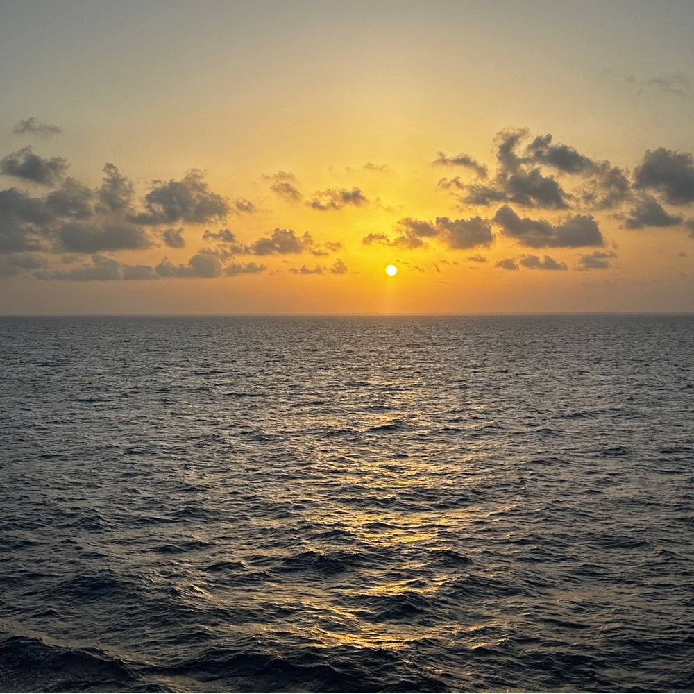 Meet your Posher, Michele